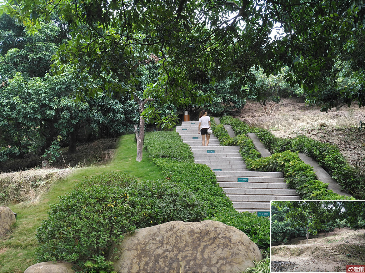 大嶺山鎮大環村美麗幸福村居建設行動計劃圖1