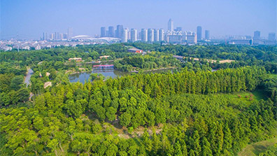 城市園林設計中的植物保護對策
