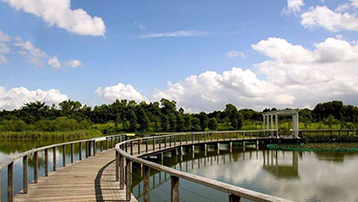 城市觀光濕地公園規劃設計的4點原則
