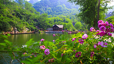 森林公園植物景觀設計的優化措施
