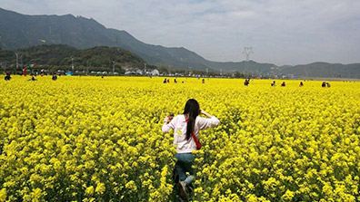 推動田園綜合體高質量發展的幾點建議