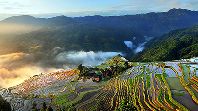 鄉村旅游景觀設計的重要性與原則